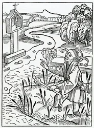 Di quelli che correggono gli altri eppure non fanno nulla e peccano peggio di quelli che correggono, illustrazione dalla traduzione inglese di Alexander Barclay di 